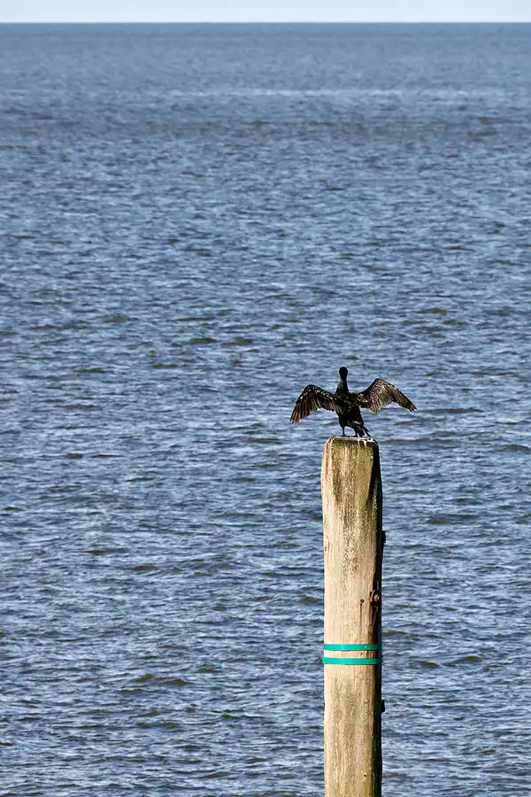 005 | 2023 | Schifffahrt Norddeich – Norderney | © carsten riede fotografie