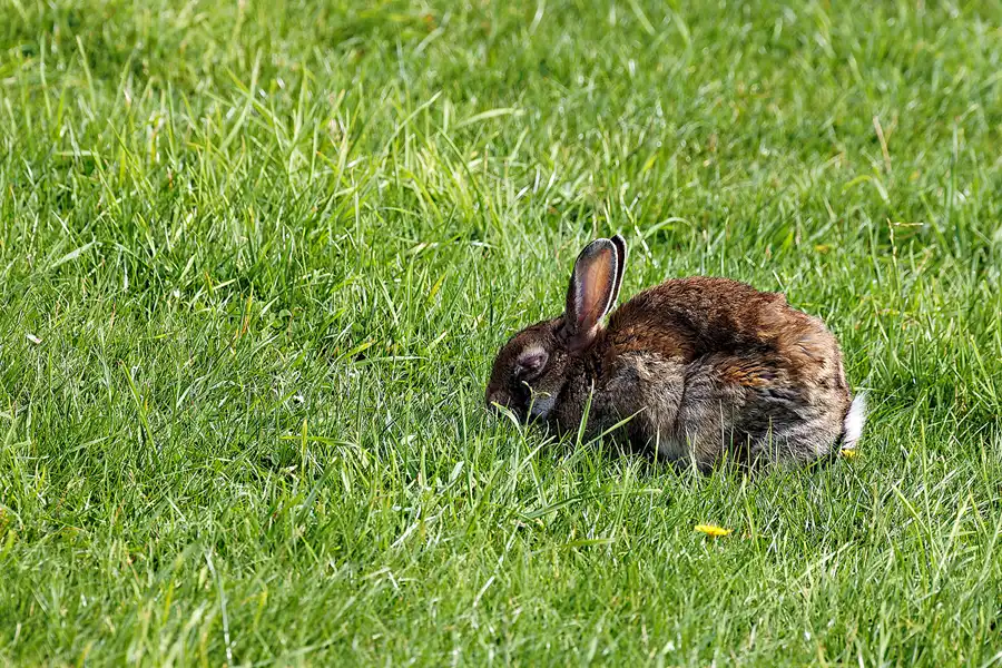 017 | 2023 | Norderney | © carsten riede fotografie