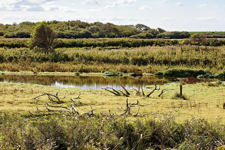 020 | 2023 | Norderney | © carsten riede fotografie