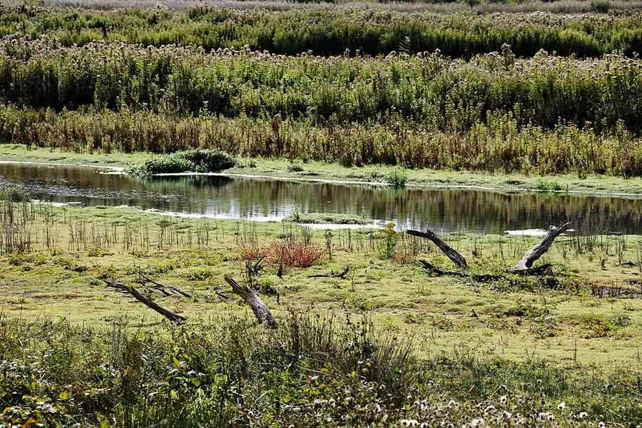 021 | 2023 | Norderney | © carsten riede fotografie