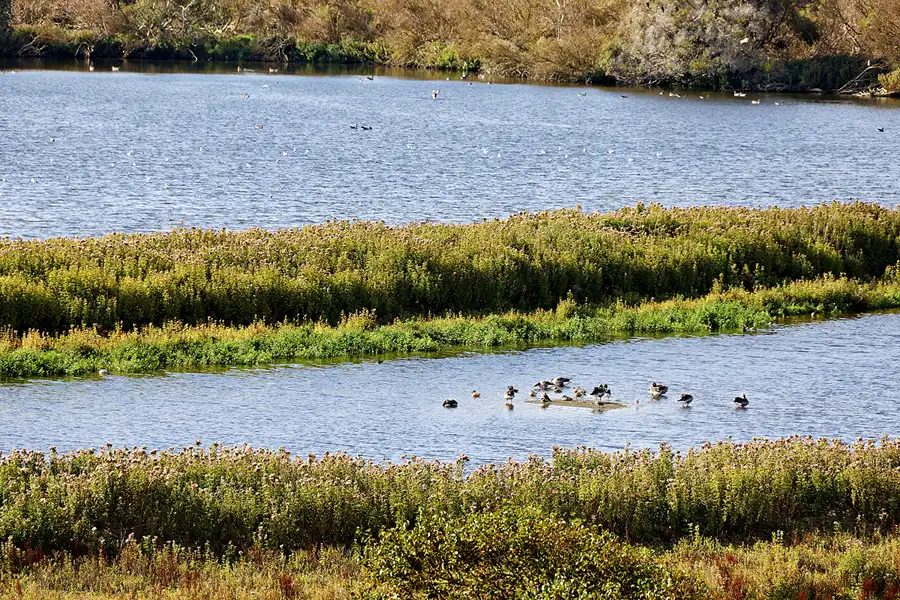 024 | 2023 | Norderney | © carsten riede fotografie