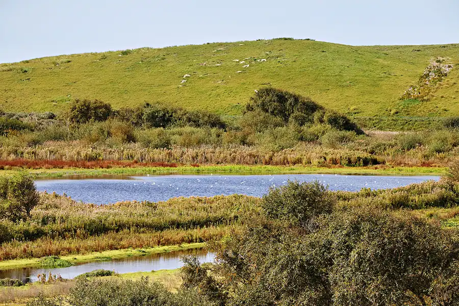 026 | 2023 | Norderney | © carsten riede fotografie