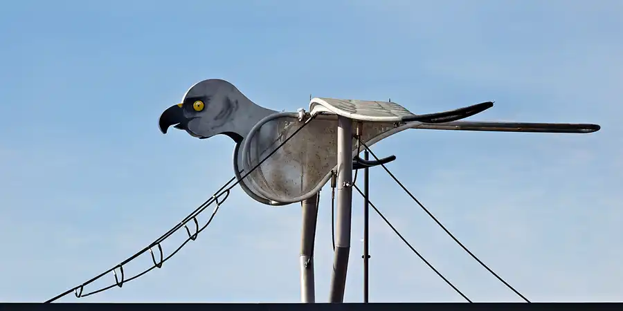 039 | 2023 | Norderney | © carsten riede fotografie