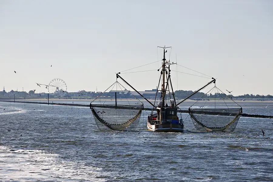 003 | 2023 | Schifffahrt Bensersiel – Langeoog | © carsten riede fotografie