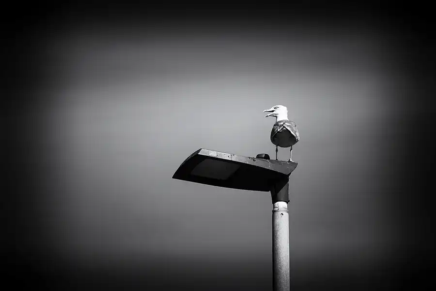 044 | 2023 | Langeoog | © carsten riede fotografie