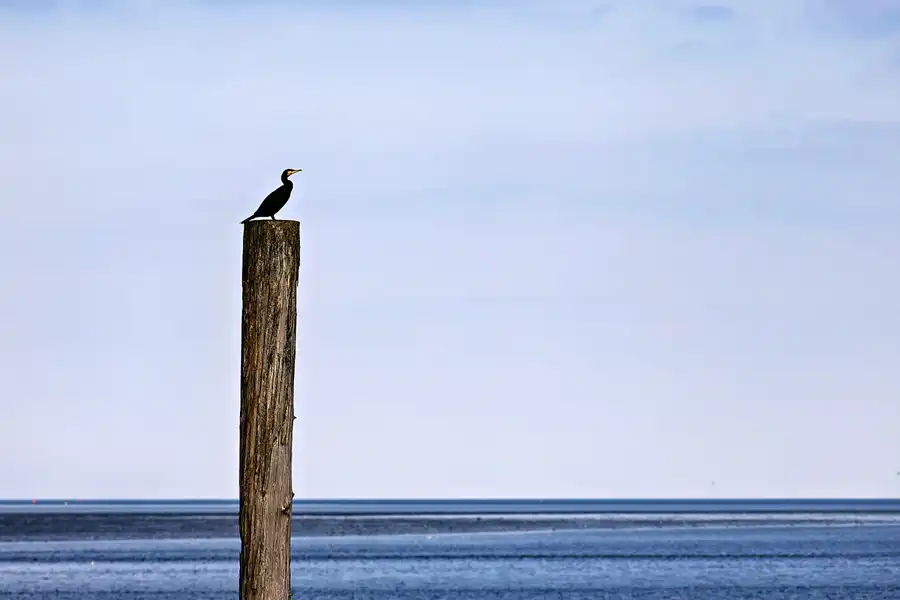 046 | 2023 | Schifffahrt Langeoog – Bensersiel | © carsten riede fotografie