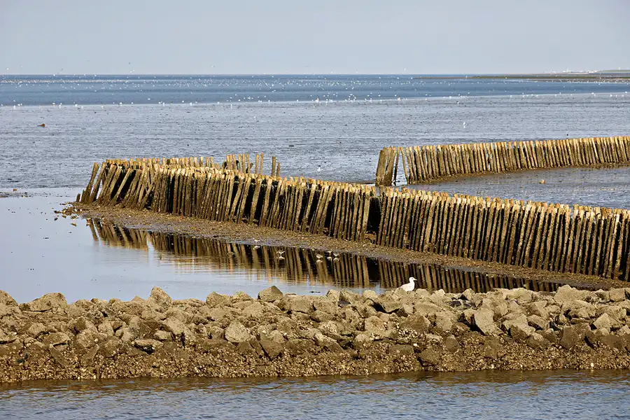 048 | 2023 | Schifffahrt Langeoog – Bensersiel | © carsten riede fotografie