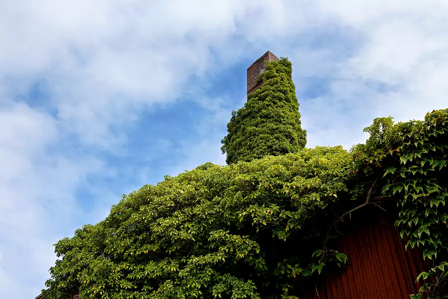 025 | 2023 | Esens | © carsten riede fotografie