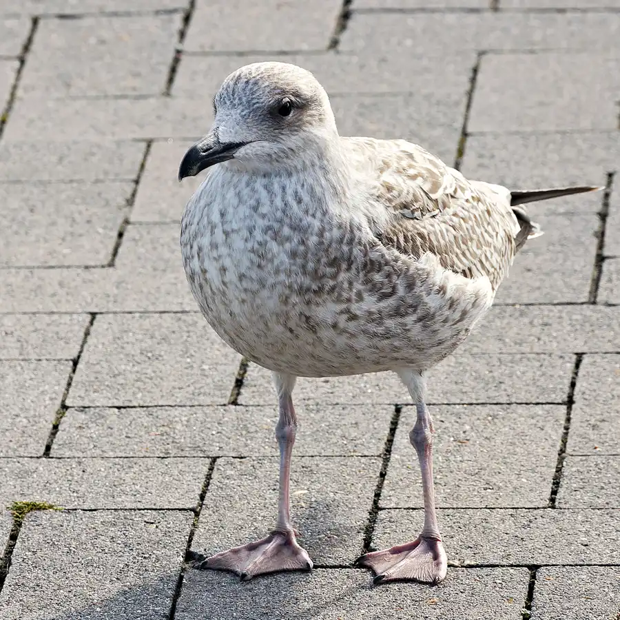 102 | 2023 | Neuharlingersiel | © carsten riede fotografie