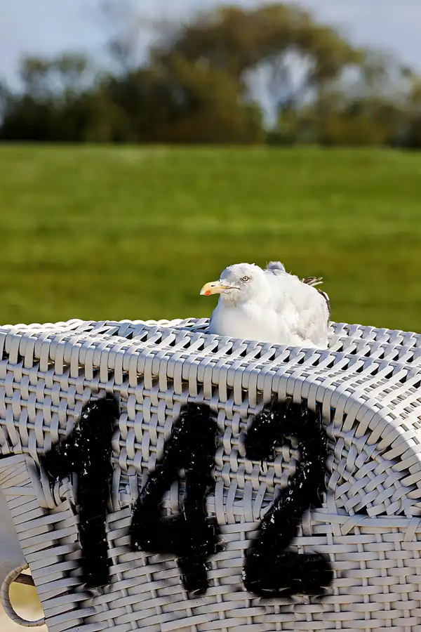 112 | 2023 | Neuharlingersiel | © carsten riede fotografie