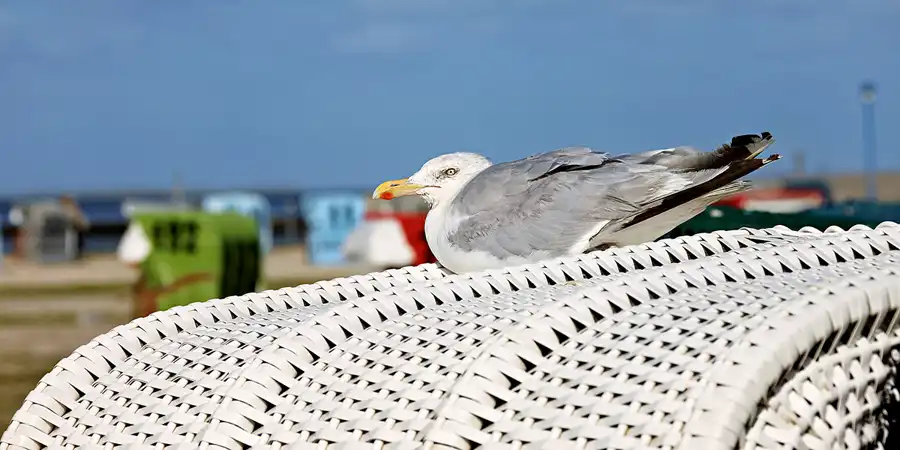 113 | 2023 | Neuharlingersiel | © carsten riede fotografie