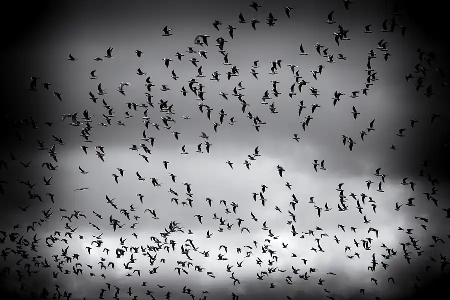 130 | 2023 | Ostbense | © carsten riede fotografie