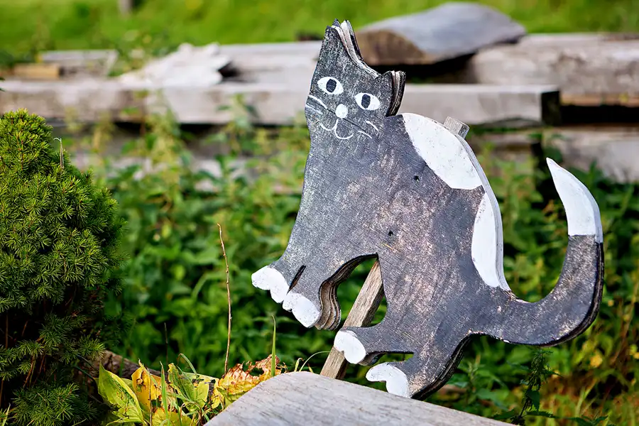 132 | 2023 | Zetel | Rutteler Mühle | © carsten riede fotografie