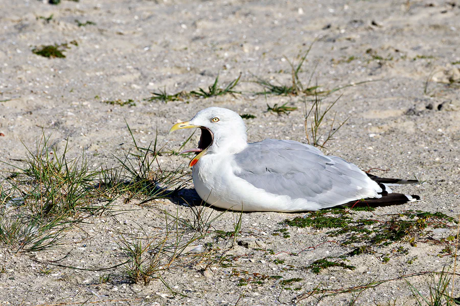 110 | 2023 | Neuharlingersiel | © carsten riede fotografie