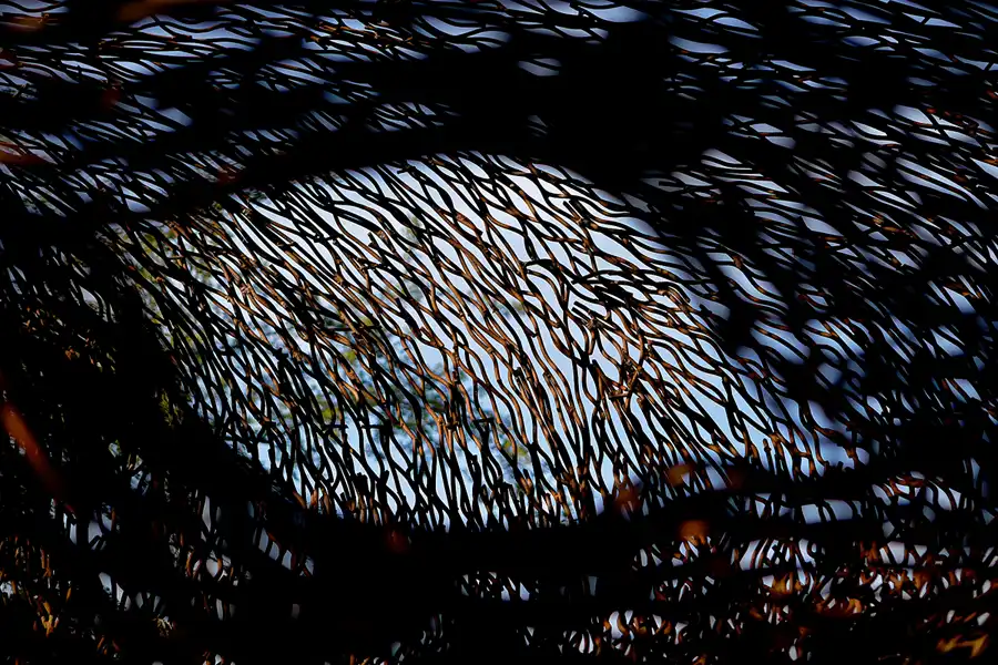 018 | 2023 | Büdelsdorf | Nordart im Kunstwerk Carlshütte | © carsten riede fotografie