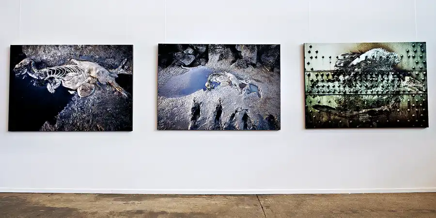 109 | 2023 | Büdelsdorf | Nordart im Kunstwerk Carlshütte | © carsten riede fotografie