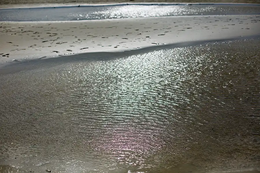 019 | 2023 | Sankt Peter-Ording | Strandparkplatz Ording Nord | © carsten riede fotografie