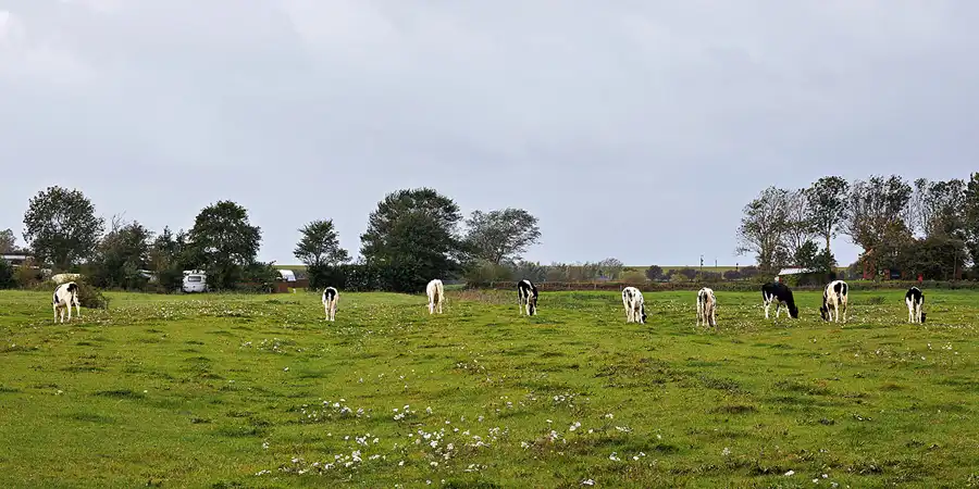 063 | 2023 | Vollerwiek | © carsten riede fotografie