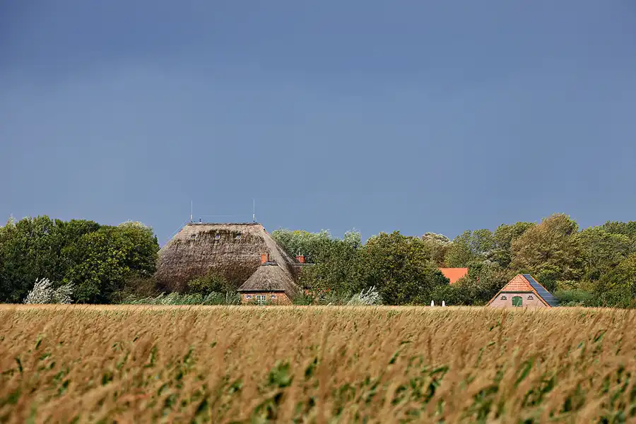070 | 2023 | Vollerwiek | © carsten riede fotografie