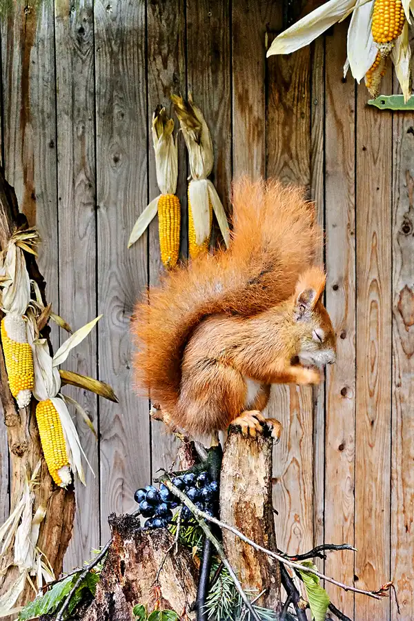 049 | 2023 | Ostrava | Landek Park | © carsten riede fotografie