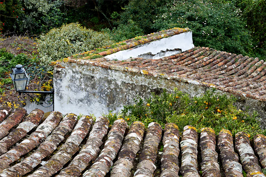 045 | 2023 | Obidos | © carsten riede fotografie