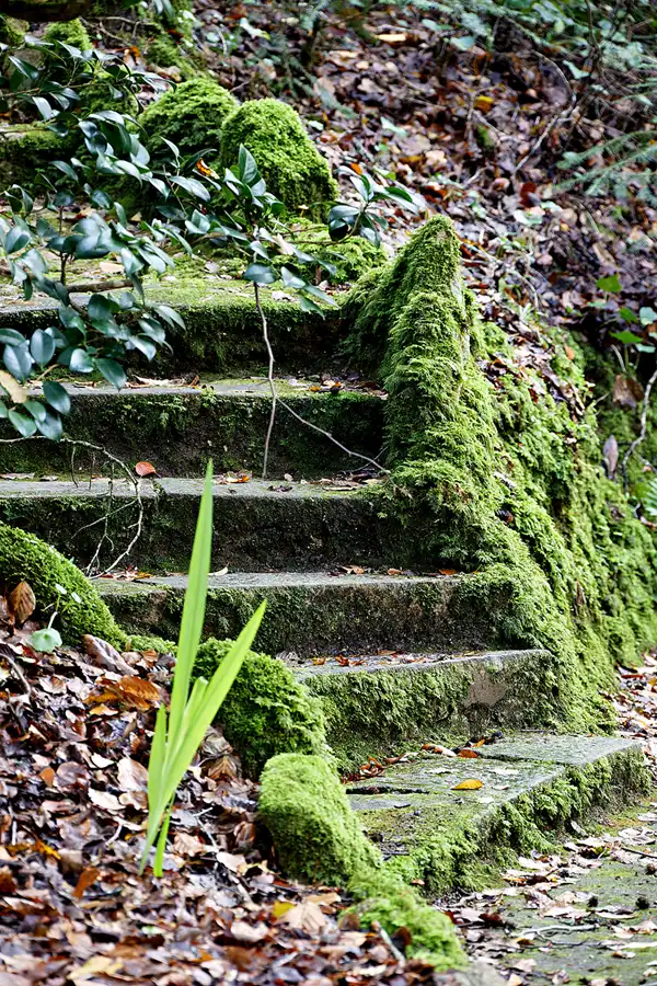 063 | 2023 | Sintra | Parque Nacional da Pena | © carsten riede fotografie