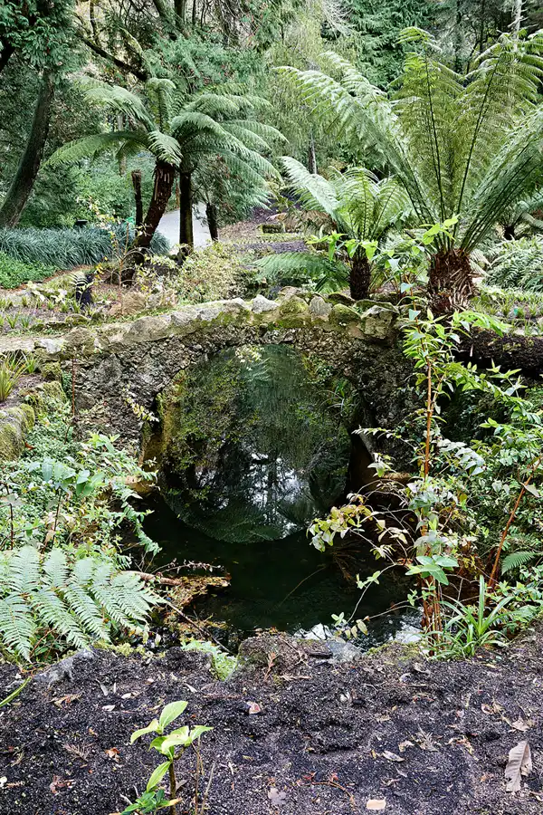 064 | 2023 | Sintra | Parque Nacional da Pena | © carsten riede fotografie