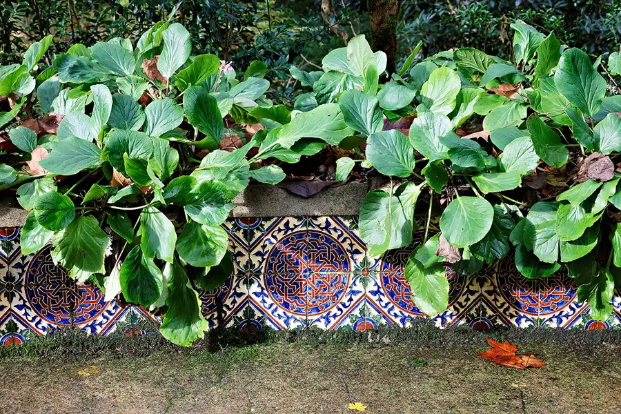 067 | 2023 | Sintra | Parque Nacional da Pena | © carsten riede fotografie