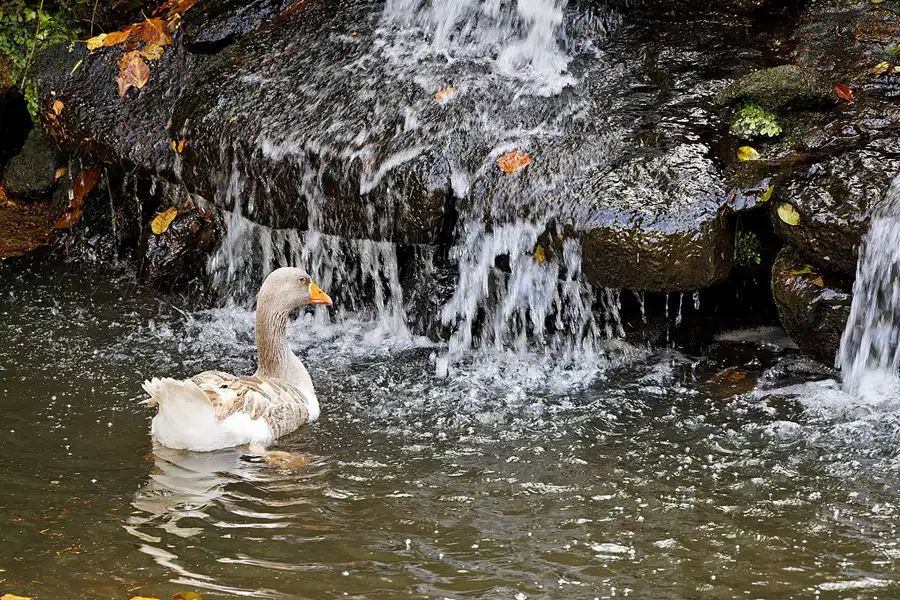 069 | 2023 | Sintra | Parque Nacional da Pena | © carsten riede fotografie