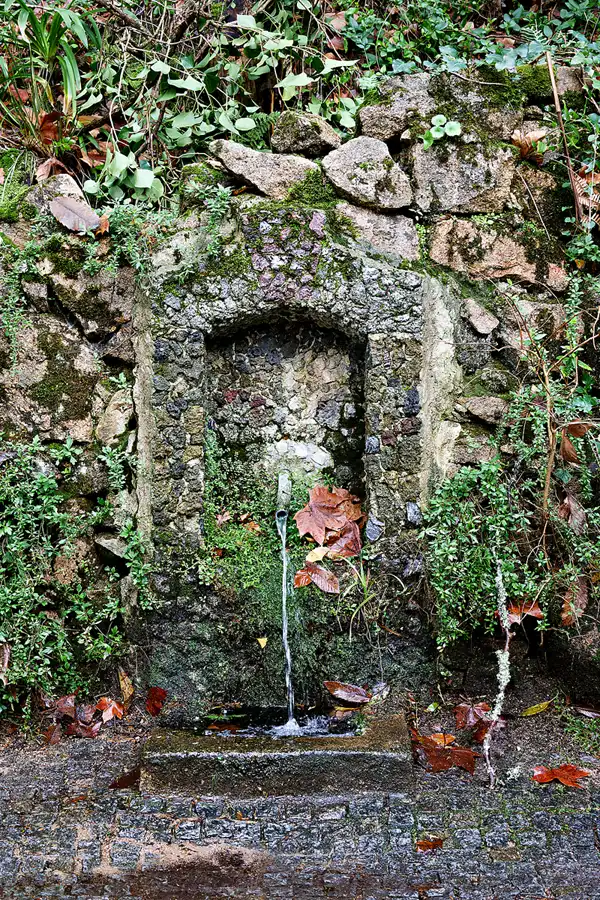 079 | 2023 | Sintra | Parque Nacional da Pena | © carsten riede fotografie