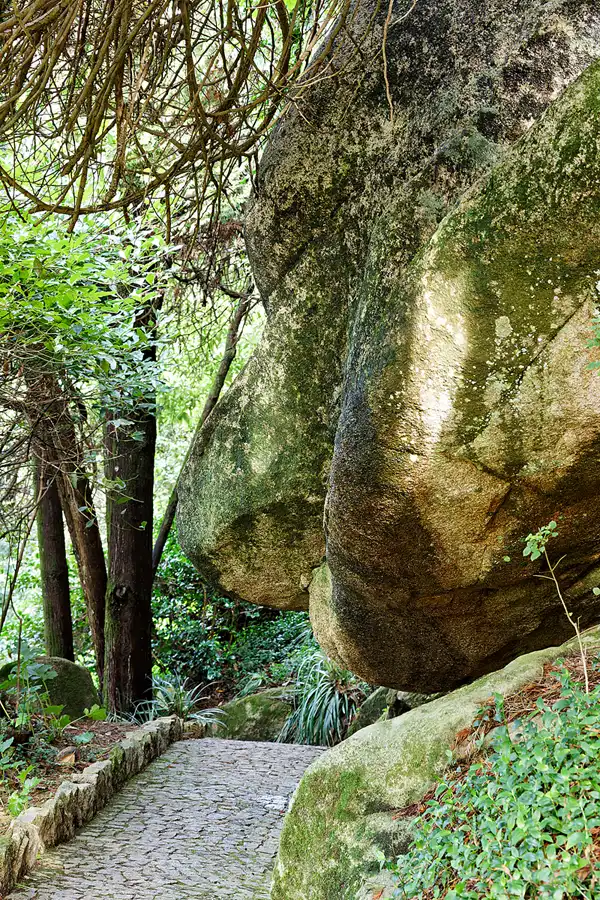083 | 2023 | Sintra | Parque Nacional da Pena | © carsten riede fotografie