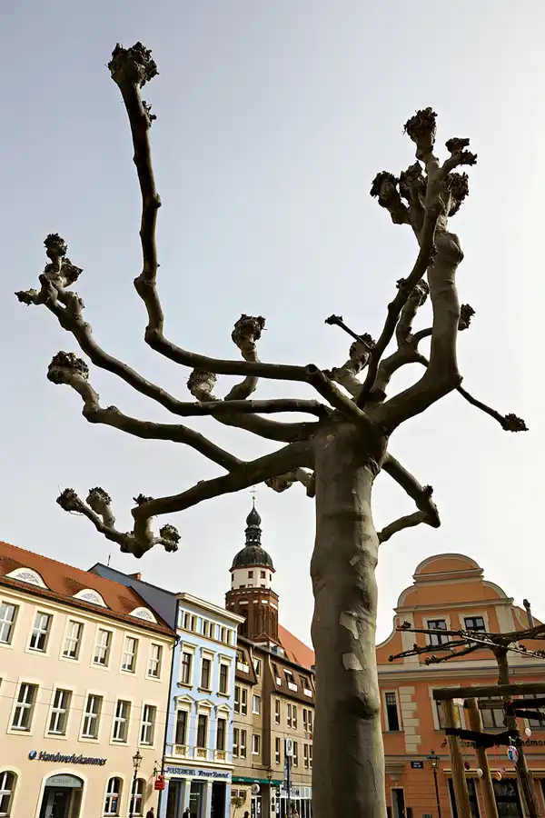 003 | 2024 | Cottbus | © carsten riede fotografie