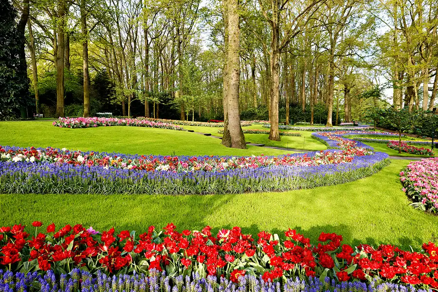 003 | 2024 | Lisse | Keukenhof | © carsten riede fotografie