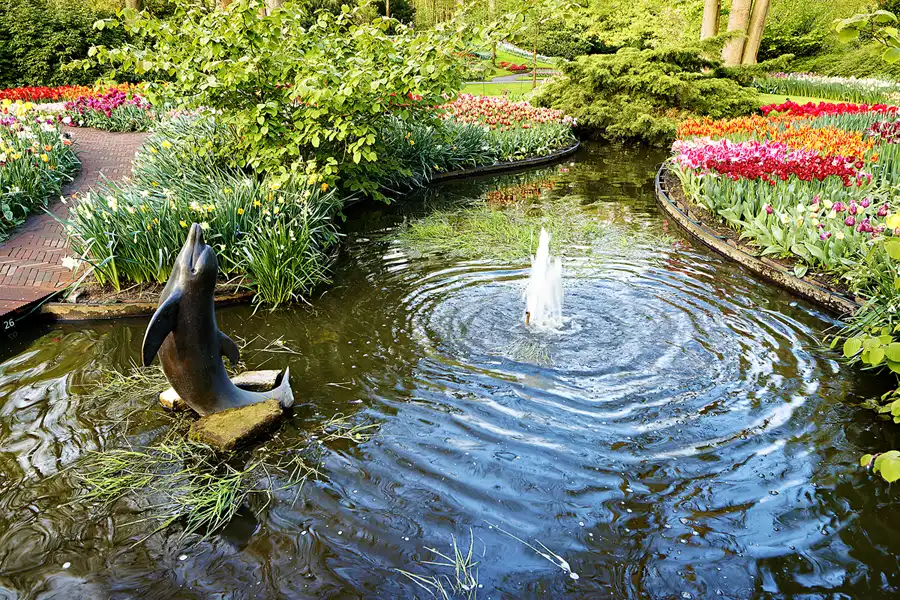 016 | 2024 | Lisse | Keukenhof | © carsten riede fotografie