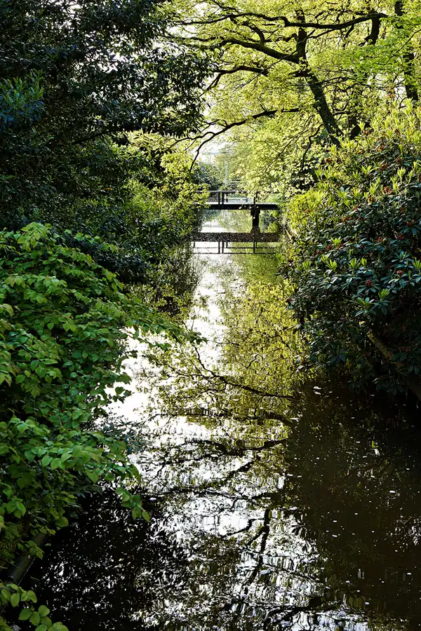 020 | 2024 | Lisse | Keukenhof | © carsten riede fotografie