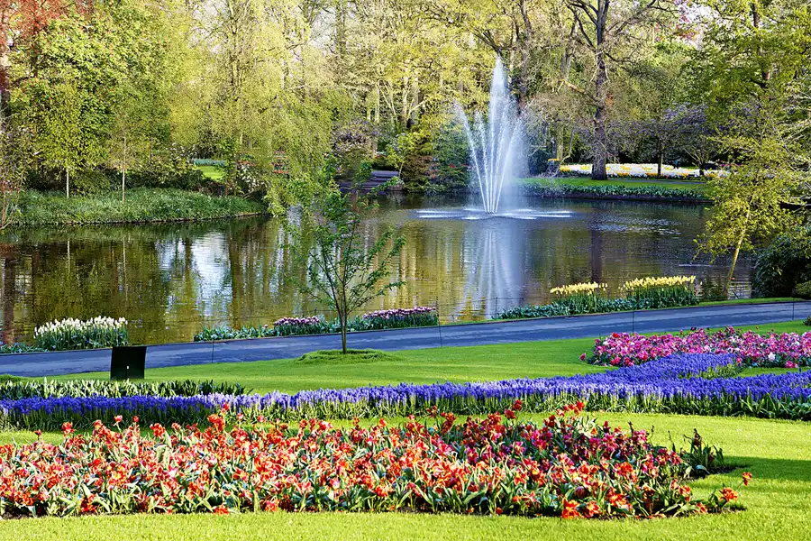 025 | 2024 | Lisse | Keukenhof | © carsten riede fotografie