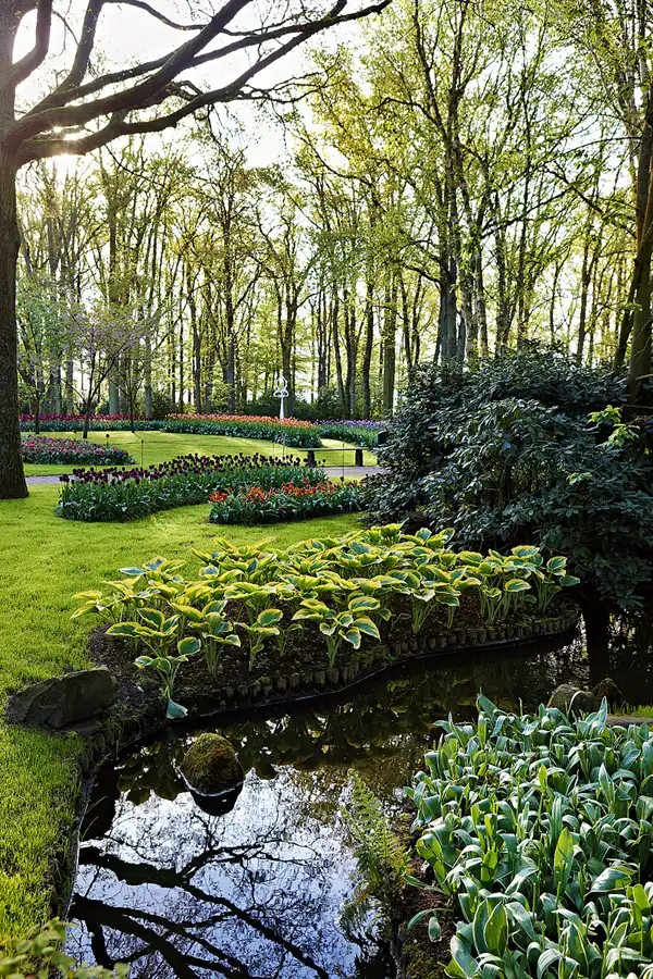 029 | 2024 | Lisse | Keukenhof | © carsten riede fotografie