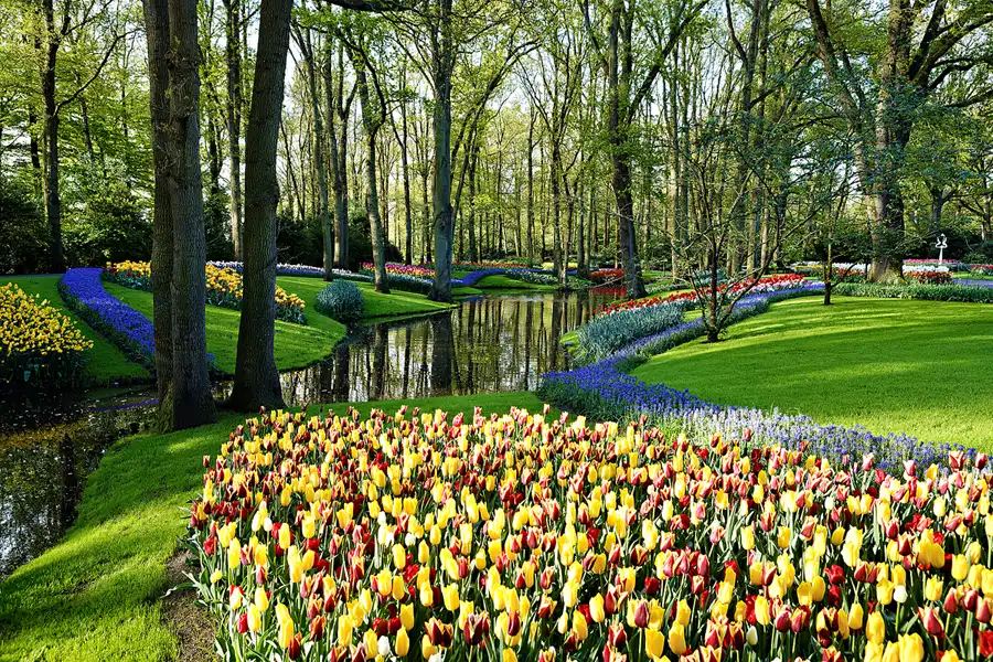 034 | 2024 | Lisse | Keukenhof | © carsten riede fotografie