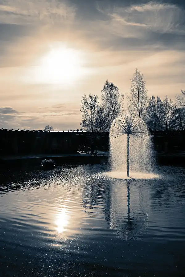 038 | 2024 | Lisse | Keukenhof | © carsten riede fotografie