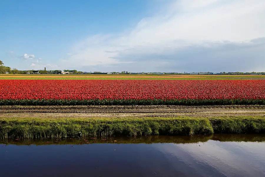 063 | 2024 | Lisse | Keukenhof | © carsten riede fotografie