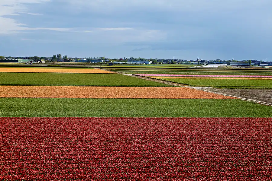 064 | 2024 | Lisse | Keukenhof | © carsten riede fotografie