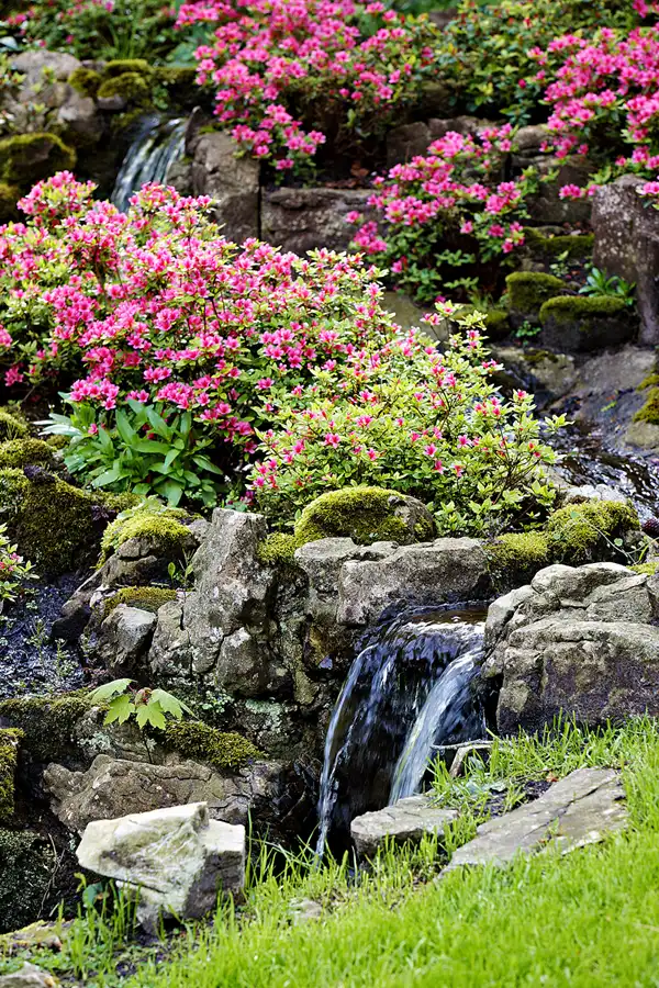 082 | 2024 | Lisse | Keukenhof | © carsten riede fotografie