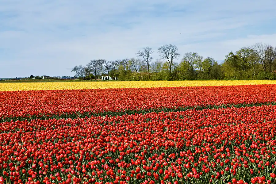 089 | 2024 | Umgebung von Sint Maartensvlotbrug | © carsten riede fotografie