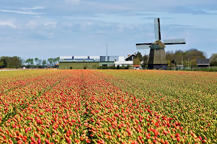 093 | 2024 | Umgebung von Sint Maartensvlotbrug | © carsten riede fotografie