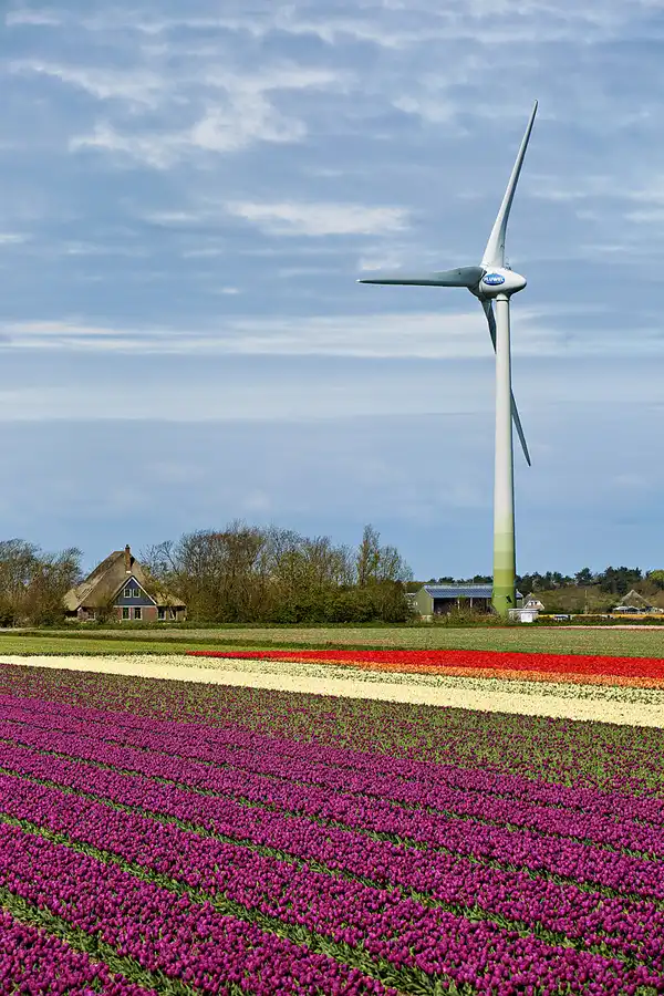 096 | 2024 | Umgebung von Sint Maartensvlotbrug | © carsten riede fotografie