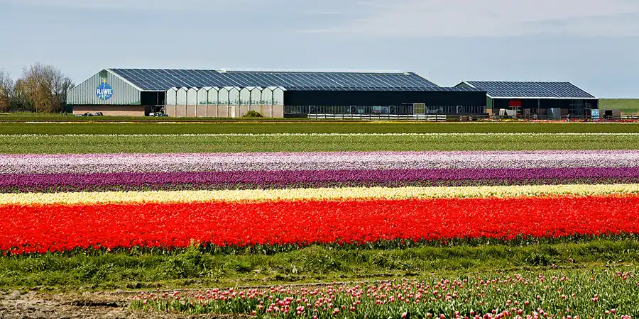 100 | 2024 | Umgebung von Sint Maartensvlotbrug | © carsten riede fotografie