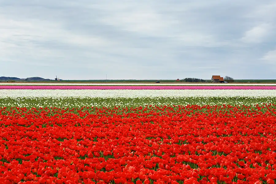 107 | 2024 | Umgebung von Sint Maartensvlotbrug | © carsten riede fotografie