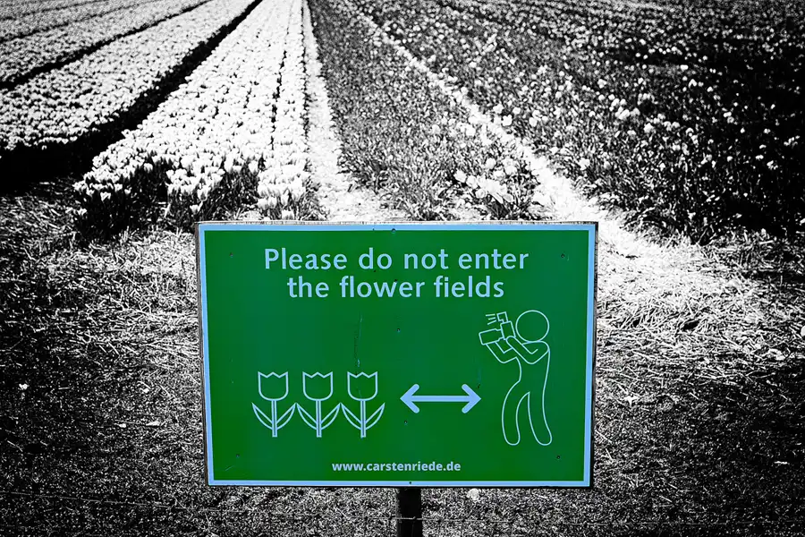 118 | 2024 | Egmond aan den Hoef | © carsten riede fotografie