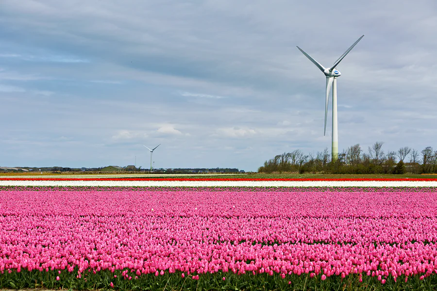 102 | 2024 | Umgebung von Sint Maartensvlotbrug | © carsten riede fotografie