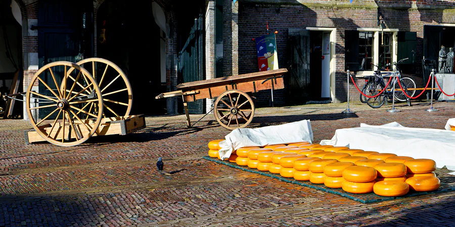 002 | 2024 | Alkmaar | Kaasmarkt | © carsten riede fotografie